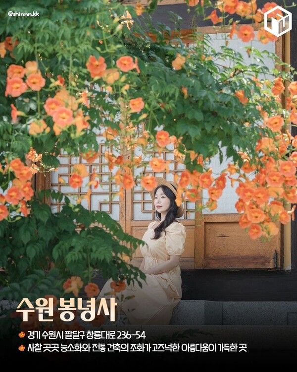 능소화 명소 추천 / ⓒ여행톡톡