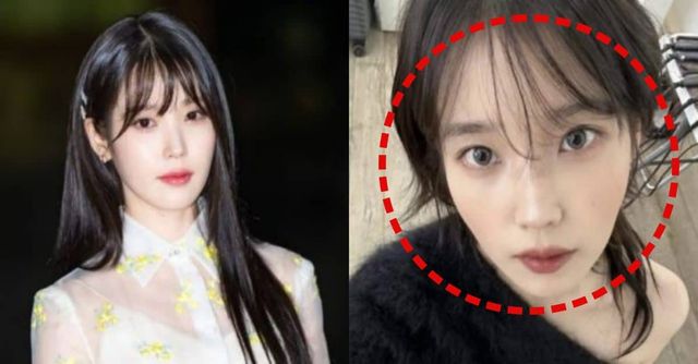 가수 아이유가 살해 협박을 받은 이후 소속사 측에서 강화된 팬 에티켓을 공지했다. / 출처 - 온라인 커뮤니티