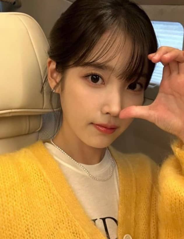 가수 아이유가 살해 협박을 받은 이후 소속사 측에서 강화된 팬 에티켓을 공지했다. / 출처 - 아이유 인스타그램