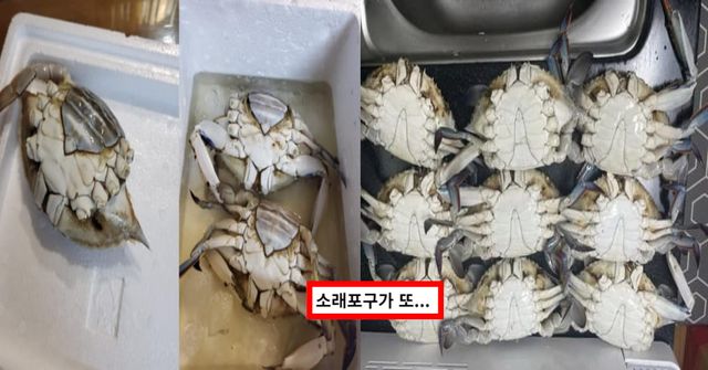 온라인 커뮤니티