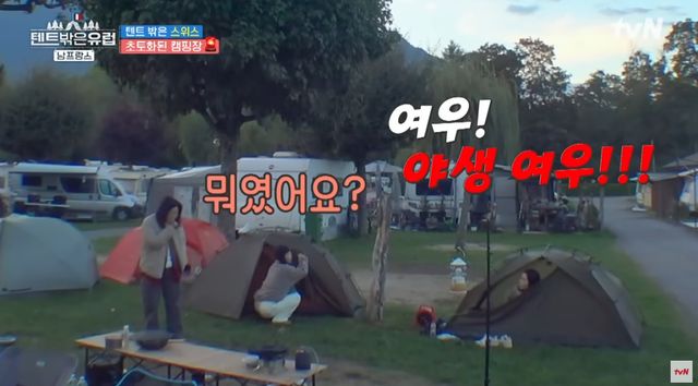 배우 한가인 /사진=tvN '텐트 밖은 유럽 남프랑스편' 방송화면 캡처