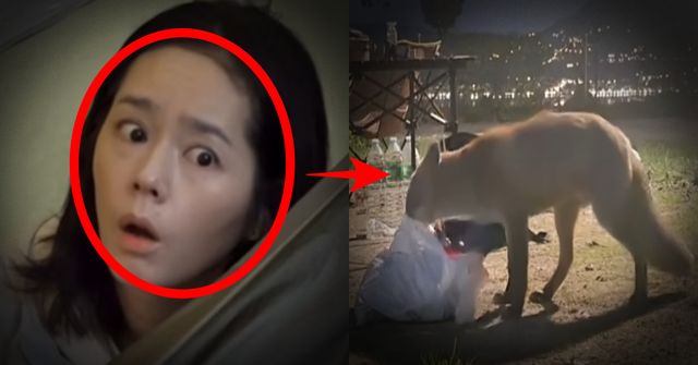 배우 한가인 /사진=tvN '텐트 밖은 유럽 남프랑스편' 방송화면 캡처