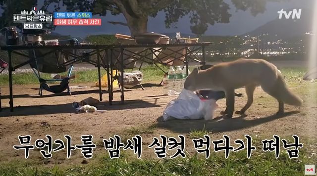 배우 한가인 /사진=tvN '텐트 밖은 유럽 남프랑스편' 방송화면 캡처