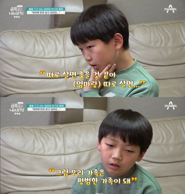 체널A '금쪽같은 내새끼'