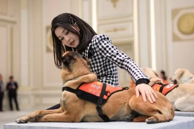 7일 청와대 영빈관에서 튀르키예 지진 파견 구조견 격려 행사에 참석한 김건희 여사 (대통령실 제공) / 뉴스1