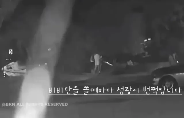 Instagram 'beaglerescuenetwork'