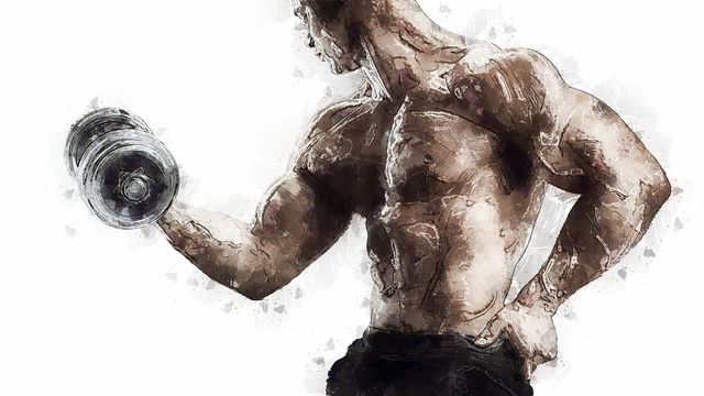 최근 심미성이 뛰어나고 건강한 몸을 만들어 이를 기록하는 ‘바디프로필’ 문화가 퍼지고 있다.&nbsp;하지만 바디프로필 촬영 이후 건강 이상을 겪는 사람들도 많다. /픽사베이