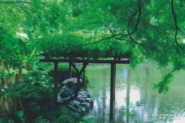 영화의 주된 무대가 된 신주쿠 교엔의 일본 정원에서 관광객이 사진을 찍고 있다. /김도연