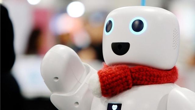 파이보는 크게 AI 반려 로봇과 교육 로봇으로 나뉜다. 반려 로봇은 특정 대상에 국한되지 않고 아이·노인 등 다양한 사람과 교감하는 휴머노이드형 감성 교감 로봇이다. 교육 로봇은 AI 코딩 로봇으로 학교·교육기관·지자체 등 인공지능 교육과 최신 기술 도입을 위해 보급된다. /서큘러스