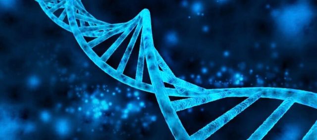 유전자 /게티이미지뱅크