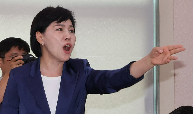 전현희 더불어민주당 의원이 지난 8월 14일 오전 국회 법제사법위원회에서 열린 김영철 서울북부지검 차장검사 '탄핵소추사건 조사'와 관련한 청문회에서 발언하고 있다. /연합뉴스