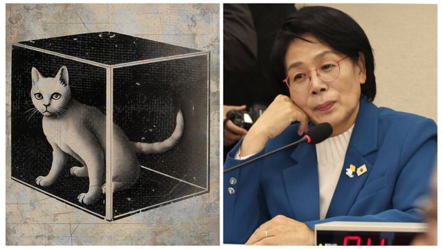 슈뢰딩거의 고양이와 최민희 더불어민주당 의원. / 여성경제신문DB