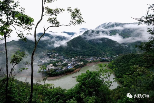 백앵산 고다원 풍경. 우리는 제 자리에서 편하게 보이차를 우려 마시며 쓰고 달다고 제 입맛대로 평가합니다. 그렇지만 지금 마시고 있는 차는 윈난성 깊은 산골에서 힘들게 찻잎을 따서 차를 만든 차농의 노고를 생각하며 고마운 마음을 가져야 하지 않을까 싶습니다. /출처=고차거(古茶居)