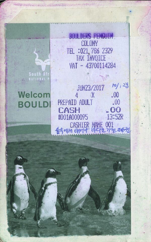 펭귄을 보러 펭귄이 사는 볼더스 비치로 왔다. 입장권 영수증 /사진=일러스트&nbsp; 윤마디 madimadi-e@naver.com