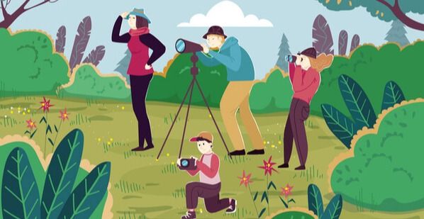 꽃 이름, 새 이름, 나무 이름을 꼭 외울 필요는 없다. 생태관광은 ‘시험공부’가 아니라, ‘자연과의 관계’를 맺는 일이다. /게티이미지뱅크