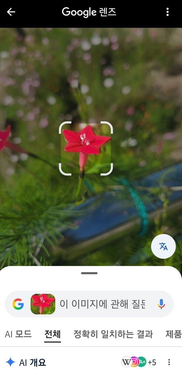 꽃을 촬영하고 구글 렌즈를 이용하면 해당 꽃에 관한 정보를 자세히 알려준다. 생태관광을 할 때 스마트폰 하나면 충분하다. /사진=김성주
