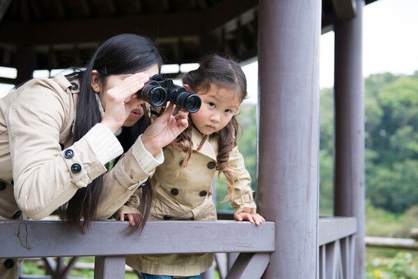 새를 보러 다니는 탐조 여행에도 디지털 어플은 유용하다. 멀린 버드 아이디(Merlin Bird ID)라는 어플은 움직이는 새 도감이다. /게티이미지뱅크