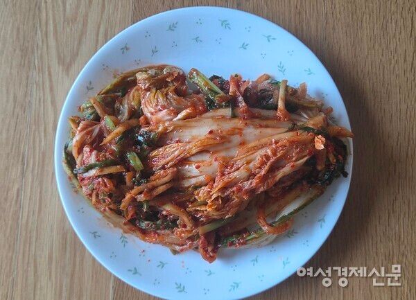 어린 모종을 길러 키운 배추로 김장김치 완성, 맛이 없을 수가 없다. /박종섭