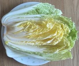 김장 준비가 된 배추 /박종섭