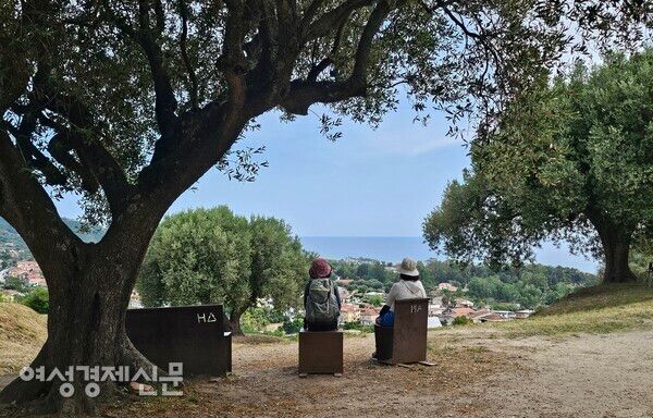 벨리아(Velia) 망명자들이 세운 도시의 언덕 /사진=박재희