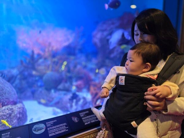 엄마와 아기가 수족관의 물고기를 바라보고 있다. 서울의 아쿠아리움은 연간회원권을 끊고 방문하는 방문객들이 많다. /사진=김성주