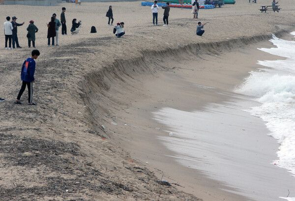 강원 강릉시 안목해변 백사장이 파도에 패여 나가고 있다. 해양수산부의 '2018 연안 침식 실태 조사'에 따르면 침식이 우려되거나 침식이 진행 중인 곳은 강원도가 31곳으로 가장 많았다. 강원 해변은 모두 침식이 진행 중인 D등급으로 분류됐다. /연합뉴스