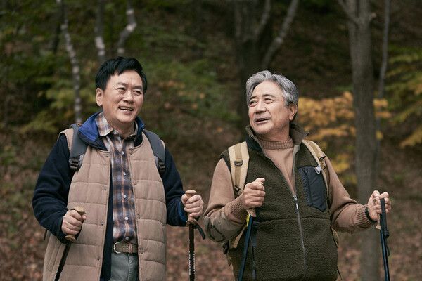 행복한 노후는 재무적 비재무적으로 균형을 이루어야 한다. /픽사베이