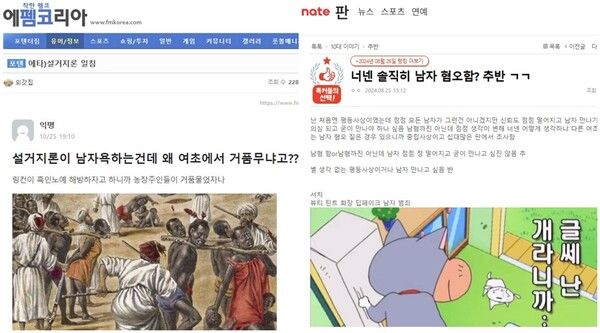 남초 커뮤니티 에펨코리아에서 화제된 설거지론 글과 여초 커뮤니티 네이트판에서 화제된 남자 혐오를 조장하는 글 /각 커뮤니티
