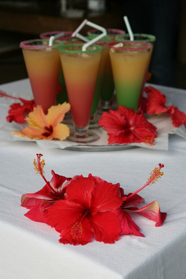 꽃을 활용한 다양한 음료 /게티이미지뱅크