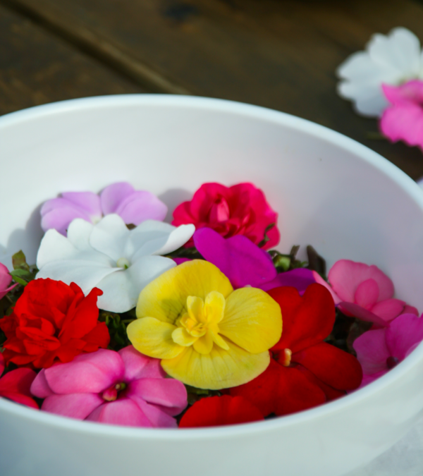 식탁의 보석 같은 식재료 '꽃' /게티이미지뱅크