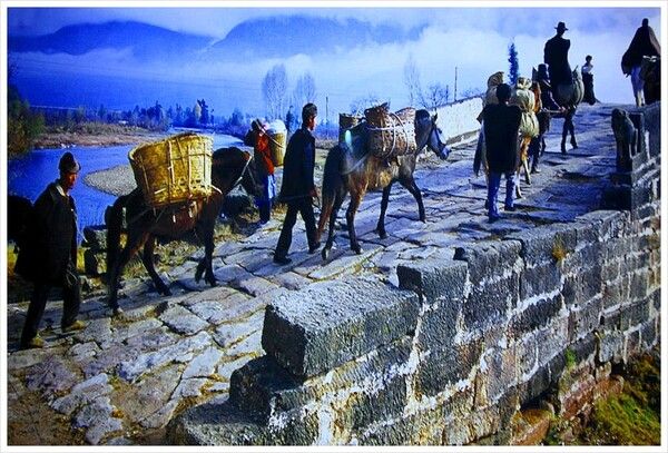 차마고도로 중국에서 티베트로 차를 말에 싣고 가는 마방 무리. 말 한 마리에 실린 차 무게는 60kg이었다. /사진 출처= 다음 카페 세외도인을 찾는 사람들