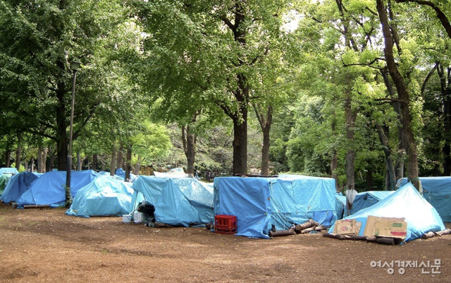 일본 교토에 위치한 노숙인 텐트촌 /마루야마 유미 교토대 교수