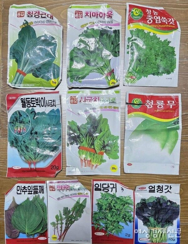 텃밭에 심을 채소 씨앗을 점검했다. /박종섭