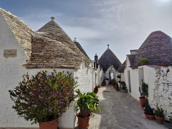 ​alberobello 2025 /ⓒDouglas JEON​