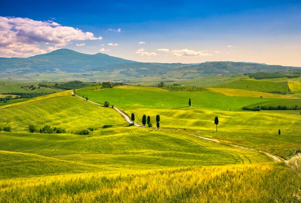 시에나로 향하는 길의 전형적인 토스카나 구릉 /게티이미지뱅크