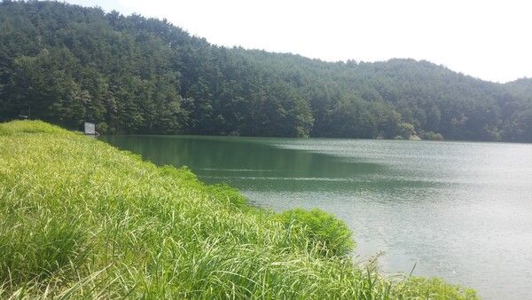 삼척시 근덕면의 초당저수지. 평범해 보이는 저수지이지만 발원지를 따라 올라가면 소한계곡에 용출되는 차가운 계곡물과 국내 유일의 민물 김이 자생하는 생태계를 만날 수 있다. /사진=김성주