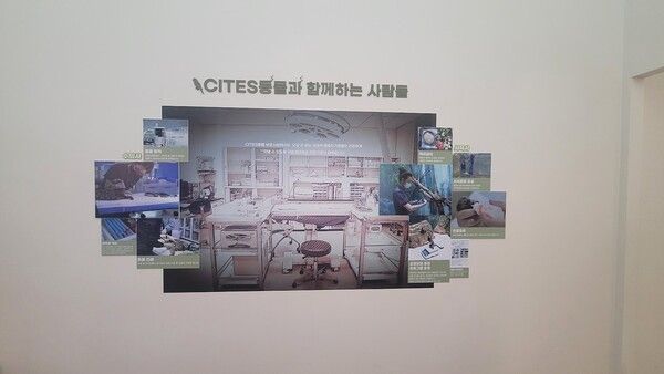 국립생태원의 CITES 동물보호 시설. 밀수와 밀거래로 적발되거나 유기된 국제 멸종위기종들을 보호하고 있다. /사진=김성주