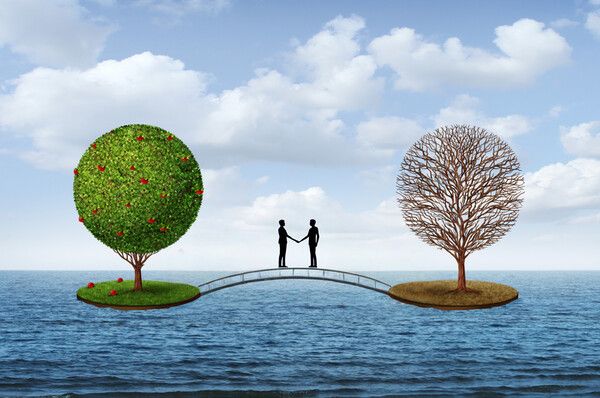 조망 수용 능력이란, 이름 그대로 타인의 관점(조망)을 내 마음속으로 받아들여(수용) 이해하는 인지적 기술을 말한다. 조망 수용 능력이 뛰어난 사람은 거의 모든 사회적 관계에서 압도적으로 유리한 고지를 점한다. /게티이미지뱅크, AI