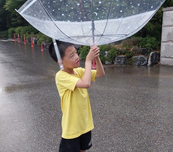 손주는 이제는 어엿한 초등학생 능변가가 되었다. /이수미