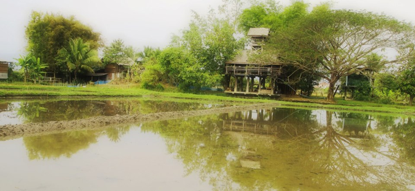 Courtesy of ‘The Land Foundation’