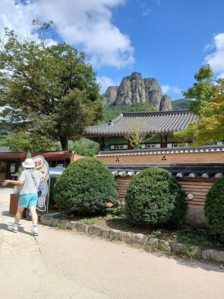 주왕산은 화산활동으로 생긴 지형으로 기암 단애와 폭포, 트레킹 길들이 좋다. 가을이면 단풍으로 수많은 사람이 찾는 명소이다. 주변에 주산지, 절골계곡이 있다. /사진=김성주