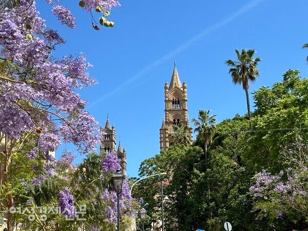 자카란다 꽃나무가 피어있는 팔레르모 /사진=박재희