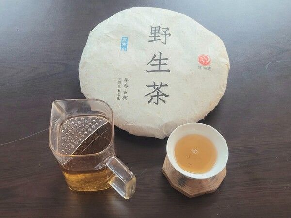 시음한 애뢰산 야생차 /김정관