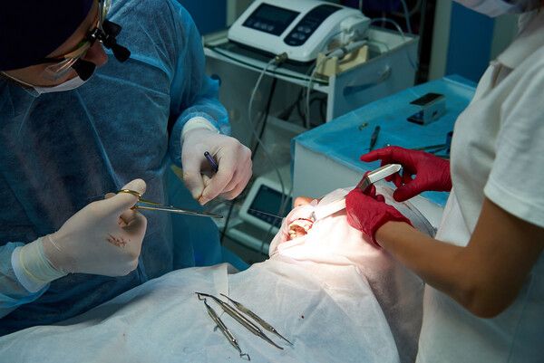 구강외과 수술 장면 /게티이미지뱅크