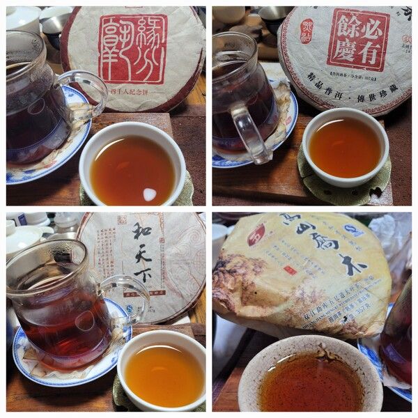 숙차는 차 중에서 가성비가 가장 좋다고 할 수 있다. 발효차인 숙차는 해마다 발효 기술이 좋아져서 누구나 즐겨 마실 수 있도록 더 맛있는 차가 나오고 있다. /김정관