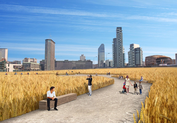 'Wheat Field- A Confrontation', 2015, Milano /Courtesy of Fondazione Riccardo Catella