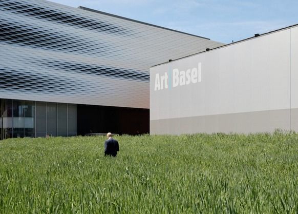 Agnes Denes's 'Wheatfield - A Confrontation', 1984, as restaged at the 2024 edition of Art Basel. /courtesy art basel