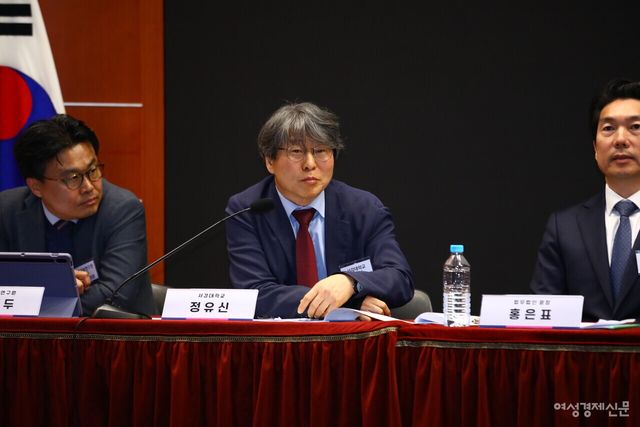 정유신&nbsp;서강대&nbsp;경영학과&nbsp;교수(디지털경제금융연구원장)가 발언하고 있는 모습 /류빈 기자
