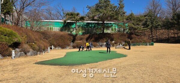 파크골프에 열중하고 있는 회원들 /박종섭