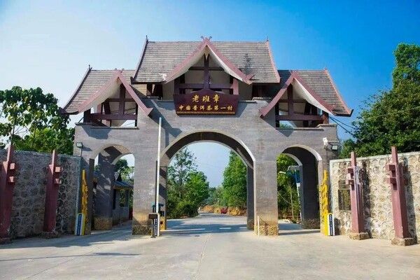 맹해 노반장 촌 출입구, 보이차의 왕이라는 이름에 걸맞은 위용이 느껴진다. 대문 현판에 노반장 중국보이차제일촌이라고 적혀 있다. /사진출처=古茶居